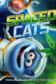 Spaced Cats